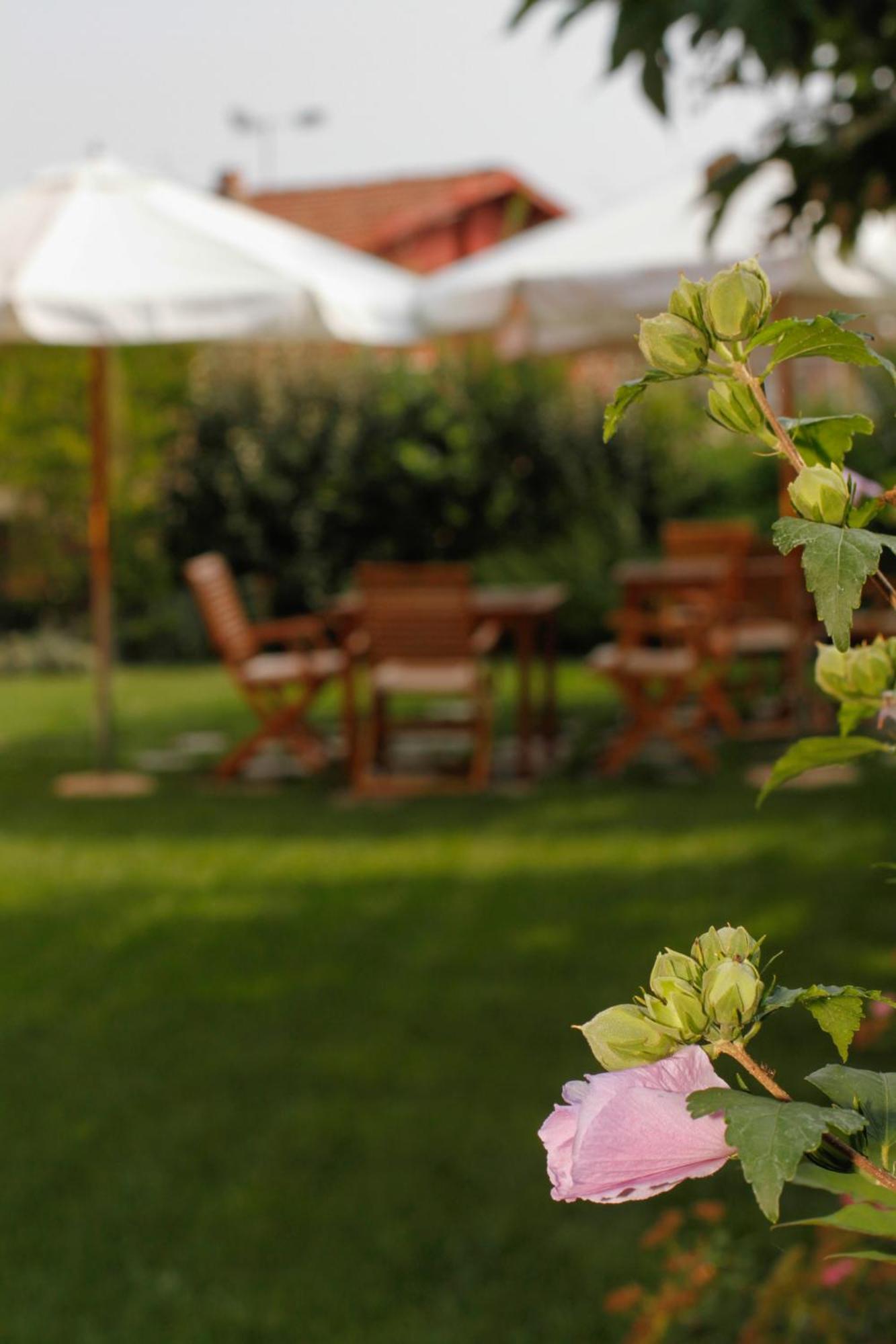 Albergo Della Ceramica Villanova Mondovì Εξωτερικό φωτογραφία